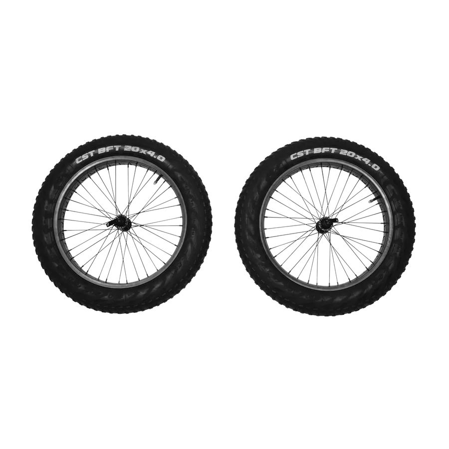 Reacha 20" fat tire wheel set